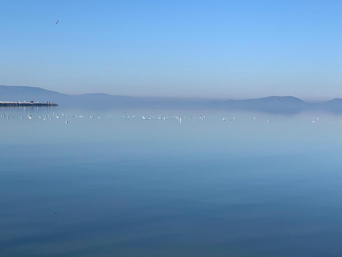 Topart Apartman I Balatonfenyves Eksteriør bilde