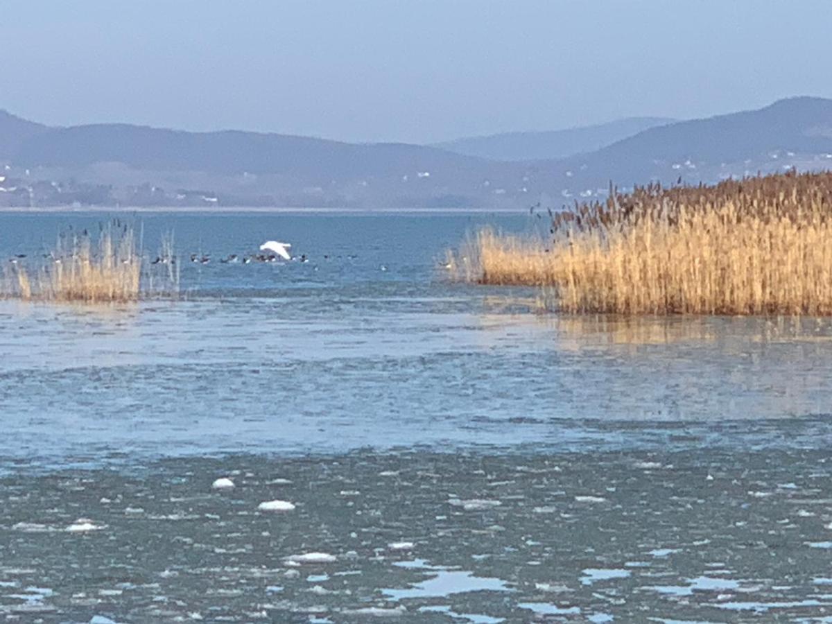 Topart Apartman I Balatonfenyves Eksteriør bilde