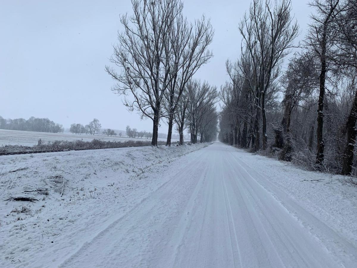 Topart Apartman I Balatonfenyves Eksteriør bilde