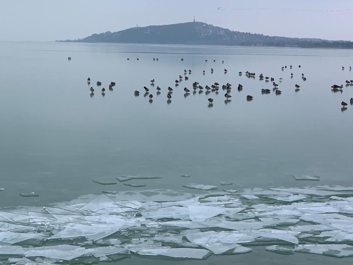 Topart Apartman I Balatonfenyves Eksteriør bilde
